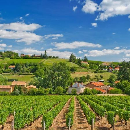 Villefranche-sur-Saône T2 Tout Equipe Au Beau Milieu Du Centre Historique 아파트 외부 사진