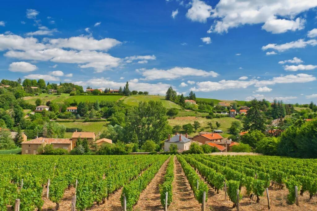 Villefranche-sur-Saône T2 Tout Equipe Au Beau Milieu Du Centre Historique 아파트 외부 사진